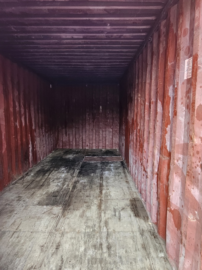 WEDU 295 558 4