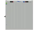 9853774gp_ansicht_1.webp